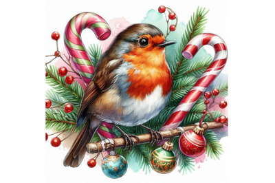 Bird robin illustration. bird robin and Christmas candy watercolor ba