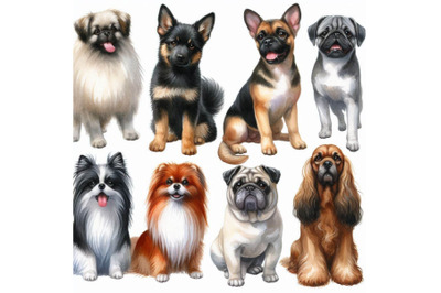 Dogs Collection. watercolor illustration of a different dog breeds