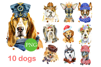 10 watercolor dog portraits. Set 2