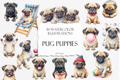 Pug Puppies Watercolor Clipart PNG