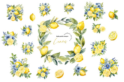 Lemon Citrus Blue Floral Greenery Clipart