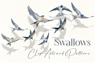 Swallows Watercolour Set
