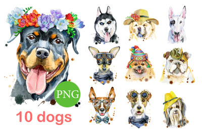 10 watercolor dog portraits. Set 5