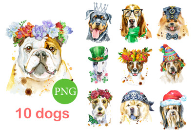 10 watercolor dog portraits. Set 6