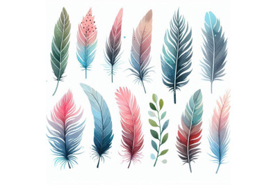 Feathers. Watercolor Feathers