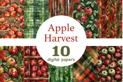 Apple Harvest Paper | Fall Pattern