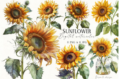 Watercolor Sunflower Clipart