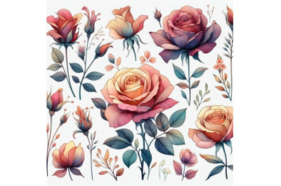 Watercolor garden flower. Watercolor rose i