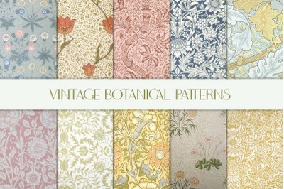 Vintage Botanical Pattern Collection