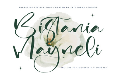 Bistania Mayneli - Freestyle Stylish Font