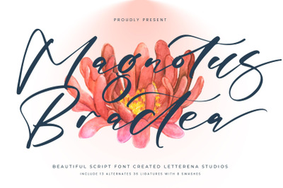 Magnotus Bractea - Beautiful Script Font