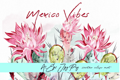 Mexico vibes cactus illustration set