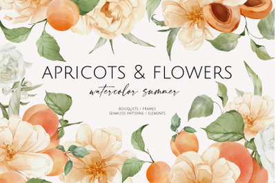 Apricots &amp; Flowers watercolor summer