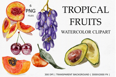 Tropical fruits watercolor clipart