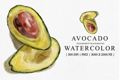 Avocado Watercolor Illustration Clipart