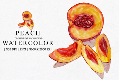 Peach Watercolor Illustration Clipart Sublimation