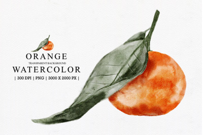 Orange Watercolor Illustration Clipart