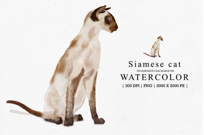 Siamese Cat  Watercolor Illustration Clipart