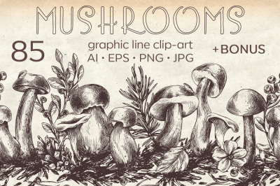 Edible forest mushrooms ink graphics