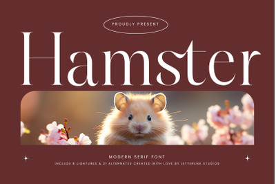 Hamster - Modern Serif Font