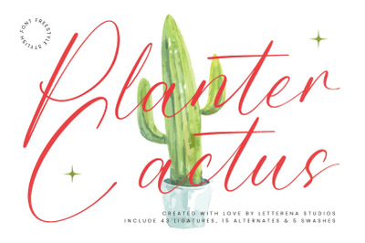 Planter Cactus - Freestyle Stylish Font