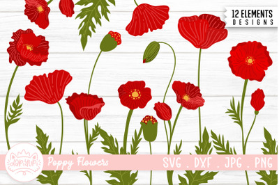 Poppy Flower Illustration Bundle | Poppy Flower Clipart