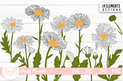 Daisy Flower Illustration Bundle | Daisy Flower Clipart