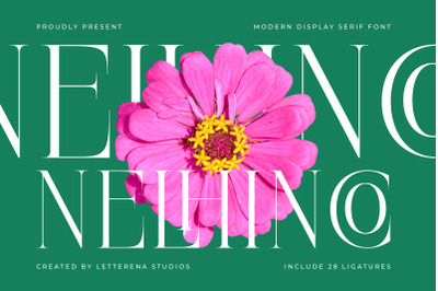 Nelhinco - Modern Display Serif