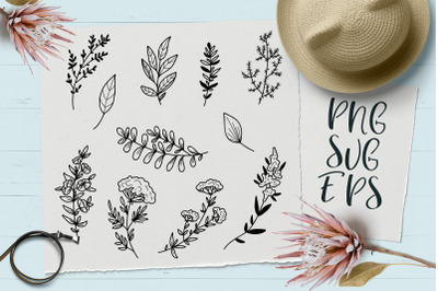 Delicate leaves SVG, EPS Png