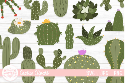 Cactus And Succulent Clipart Bundle