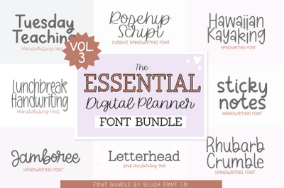 THE ESSENTIAL DIGITAL PLANNER FONT BUNDLE V3