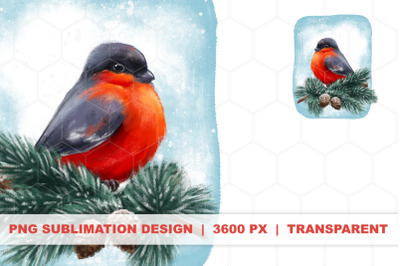 Bullfinch bird | Winter PNG sublimation