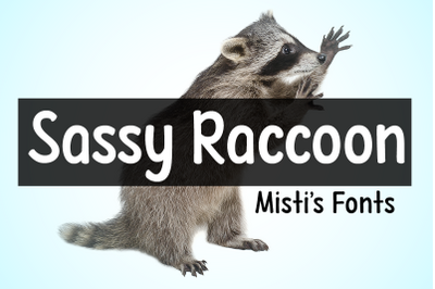 Sassy Raccoon