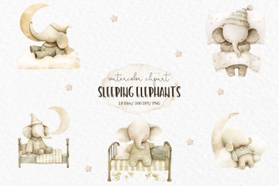 Baby elephant PNG watercolor clipart