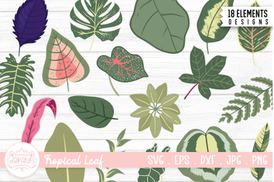 Tropical Leaf Clipart Bundle | Summer Element Clipart Bundle