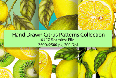 Hand drawn seamless citrus patterns set