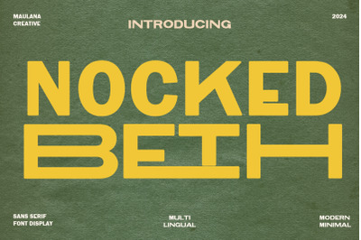 Nocked Beth Modern Minimal Sans Serif Font