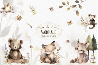 Woodland animals png clipart