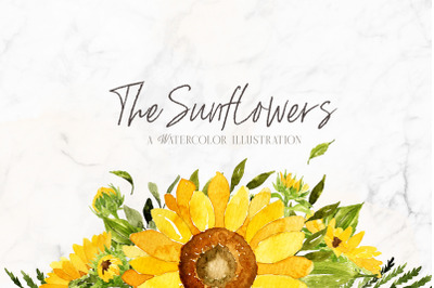 Sunflowers Watercolor Illustrations