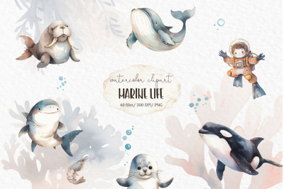 Marine life watercolor clipart PNG