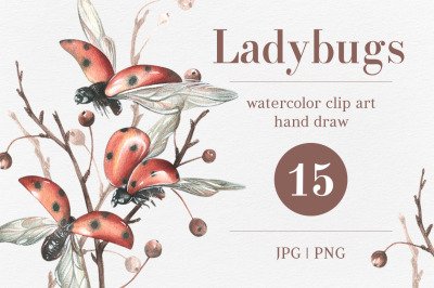 Ladybugs red with autumn watercolor