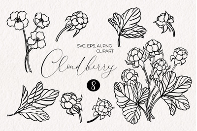 Cloudberry Vector Graphic Set SVG/EPS