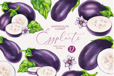 Watercolor Eggplant PNG