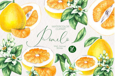 Watercolor Pomelo PNG