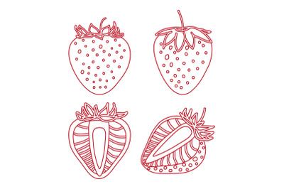 Strawberry drawing, hand drawn botanical vector illustration set. Coll