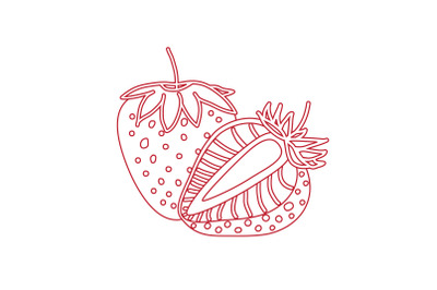 Strawberry drawing, hand drawn botanical vector illustration set. Coll