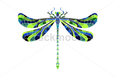 Green mosaic dragonfly