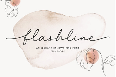 Flashline