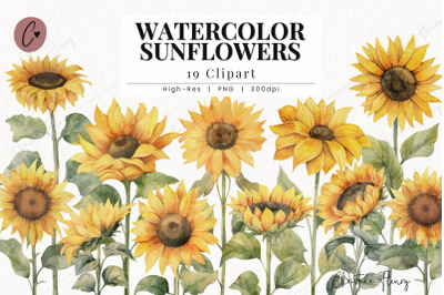 Watercolor Sunflowers Clipart