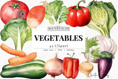 Watercolor Vegetables Clipart